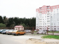 Торговый павильон (ларёк, киоск, мини-магазин) с местом. Боровляны. - Изображение #6, Объявление #1441455