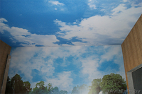 Новые уникальные натяжные потолки - Изображение #4, Объявление #1455685