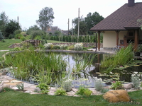 Ландшафтное строительство - Изображение #3, Объявление #1480742