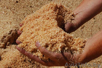 Опилки древесные - Изображение #1, Объявление #1483777