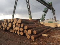 Дом из профилированного бруса! В Минске и Минской обл. - Изображение #12, Объявление #1501072