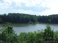 Коттедж на берегу озера д. Дички 15 км от Минска Раковское направление - Изображение #7, Объявление #1511392