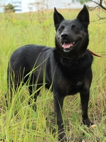 Очаровательная Мэгги - Изображение #4, Объявление #1505130