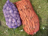 Овощи белорусские оптом - Изображение #1, Объявление #1519319