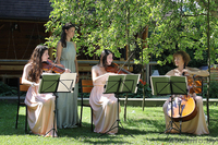 Струнный квартет, трио, дуэт. Музыка для праздника. - Изображение #3, Объявление #1284648