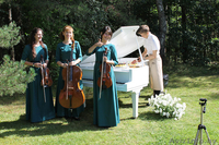 Струнный квартет, трио, дуэт. Музыка для праздника. - Изображение #2, Объявление #1284648