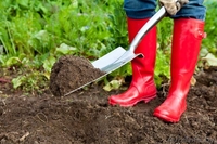 Растительный грунт по актуальным ценам для Вас - Изображение #5, Объявление #1529033