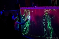 Шоу световых картин Саши Граппо - Изображение #3, Объявление #1521494