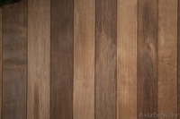 Паркетная доска из массива Граба и Ясеня - Изображение #2, Объявление #1538617