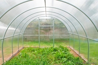 Прочные неразборные теплицы по недорогой цене - Изображение #3, Объявление #1544836