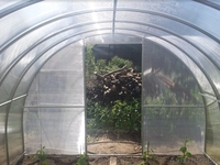 Теплица Агросфера от первого производителя в РФ - Изображение #2, Объявление #1550542