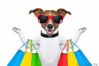 Шоп-туры в ХМЕЛЬНИЦКИЙ. Без оптовиков !!! - Изображение #1, Объявление #1553801