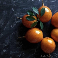 Экзотические фрукты - Изображение #4, Объявление #1569950