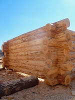  Сруб дачного домика в стиле "тайга". - Изображение #8, Объявление #1577031