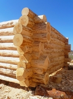  Сруб дачного домика в стиле "тайга". - Изображение #9, Объявление #1577031