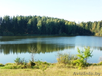 Коттедж на берегу озера недалеко от Минска, д. Дички, Раковское направление - Изображение #1, Объявление #1577413