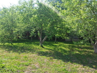 Коттедж на берегу озера недалеко от Минска, д. Дички, Раковское направление - Изображение #8, Объявление #1577413