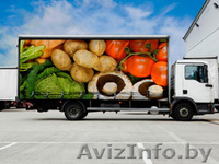 Перевозка мяса Минск. Изотерма. Рефрижераторы. Звоните - Изображение #2, Объявление #1592722