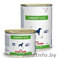 Корм влажный для собак продам Минск - Изображение #3, Объявление #1606479