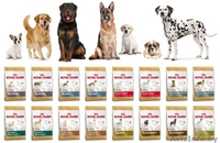 Корм для кошек и собак продам Минск - Изображение #2, Объявление #1606704