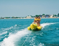 Семейный отдых на море.Отель АДАМ И ЕВА.Затока  - Изображение #8, Объявление #1642645