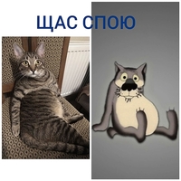  Бэст лесной красавец в добрые руки - Изображение #1, Объявление #1661354