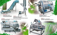 Линии для производства овощных консервов "под ключ" - Изображение #1, Объявление #1669617
