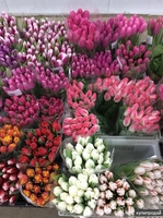Тюльпаны выгодно оптом в Минске - Изображение #3, Объявление #1675632