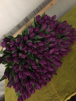 Букеты из элитных тюльпанов к 8 марта, предзаказ - Изображение #4, Объявление #1675638