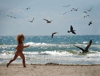 Отель Солнечная мини.Семейный одых на Черном море.Затока. - Изображение #1, Объявление #1679430