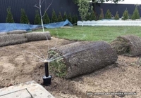 Автополив. Газон, Благоустройство - Изображение #1, Объявление #1680372