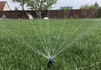 Автополив. Газон, Благоустройство - Изображение #9, Объявление #1680372