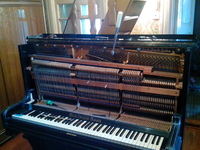 Настройка пианино, роялей. Консультации при покупке/продаже. помощь с перевозкой - Изображение #5, Объявление #1715775