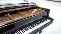 Настройка пианино, роялей. Консультации при покупке/продаже. помощь с перевозкой - Изображение #2, Объявление #1715775