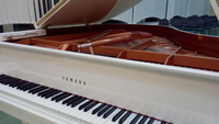 Настройка пианино, роялей. Консультации при покупке/продаже. помощь с перевозкой - Изображение #3, Объявление #1715775