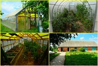 Продам дом в д. Новые Зеленки 56 км. от Минска - Изображение #8, Объявление #1751493