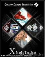 Уникальный бизнес  в онлайн доступен всем - Изображение #2, Объявление #12650