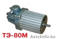 Продам: ТЭ-30. ТЭ-50. ТЭ-80. ТЭ-200. - Изображение #4, Объявление #1067586