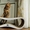 Трендовые когтеточки,  лежанки и домики для кошек из эко-картона #1360349