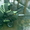 продаю коляску-джип зеленого цвета  - Изображение #1, Объявление #16422