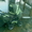 продаю коляску-джип зеленого цвета  - Изображение #3, Объявление #16422