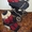 детская  коляска BEBECAR Style AT - Изображение #1, Объявление #14767