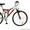Велосипеды разных марок в кредит без справок и поручителей! - Изображение #3, Объявление #36228