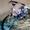 подростковый велосипед "Мустанг" - Изображение #2, Объявление #43548