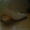 Продаю атласные туфли белого цвета - Изображение #1, Объявление #57523