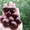 Саженцы яблони, смородины, малины, груши, вишни, черешни, абрикоса, крыжовника и - Изображение #8, Объявление #146881