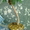 Деревья из бисера - Изображение #1, Объявление #171663