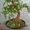 Деревья из бисера - Изображение #4, Объявление #171663