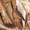 Наращивание ногтей, роспись тела хной (мехенди) - Изображение #7, Объявление #160758