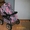 продажа детской коляски - Изображение #2, Объявление #208350